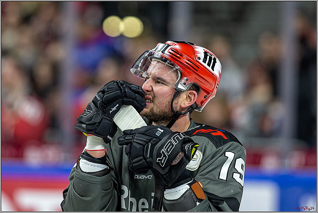 DEL; Koelner Haie - Augsburger Panther, 14.11.2018